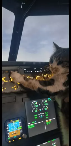 A cat with its paw on the autopilot panel in the cockpit of an airliner