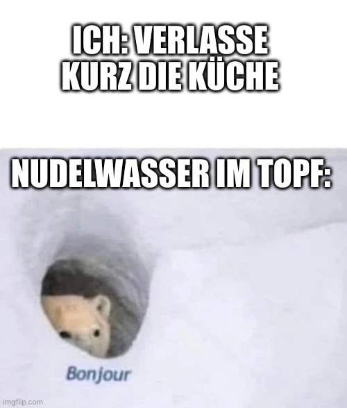 Ich: verlasse kurz die Küche. Nudelwasser im Topf: [Bild eines Eisbärs, der seinen Kopf aus der Höhle reckt, daneben steht "Monteur"]