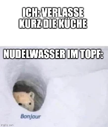 Ich: verlasse kurz die Küche. Nudelwasser im Topf: [Bild eines Eisbärs, der seinen Kopf aus der Höhle reckt, daneben steht "Monteur"]