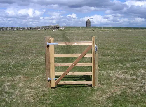Ein Tor in einem Feld ohne Zaun