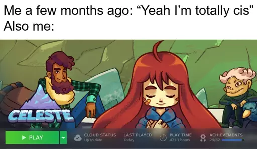 Me a few months ago: "Yeah I'm totally cis", Also me: (a steam screenshot of Celeste with 471 hours logged, last played today)