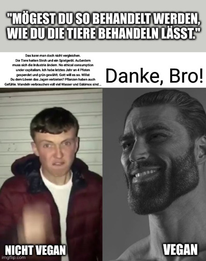 "Mögest Du so behandelt werden, wie Du Tiere behandeln lässt." Zwei Menschen reagieren auf diesen Spruch. Der eine, mit "nicht vegan" gekennzeichnet, ist sichtlich echauffiert und verliert sich in Ausflüchten. Der andere, mit "vegan" gekennzeichnet, lächelt leicht und sagt: "Danke, Bro!".