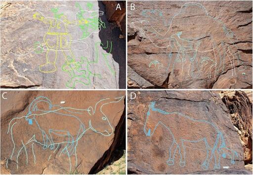 four separate animal carvings, outlined in bright colors, shown on a grid