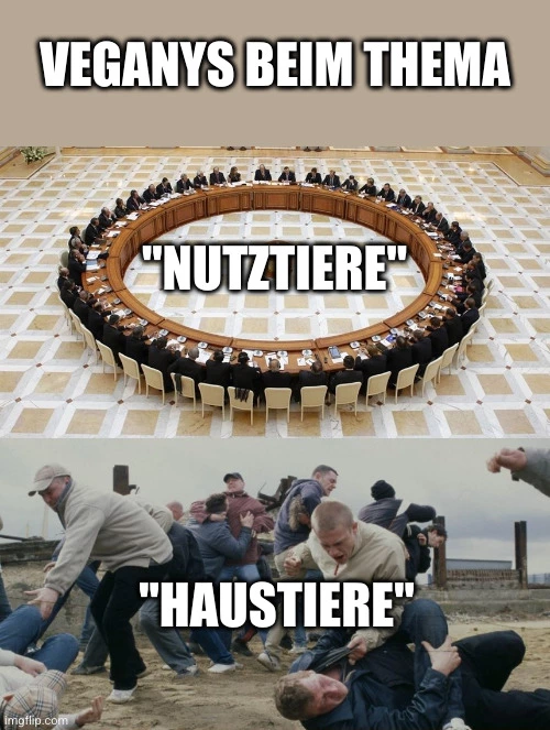 Veganys beim Thema "Nutztiere": einig und geordnet. Veganys beim Thema "Haustiere": starke Differenzen.