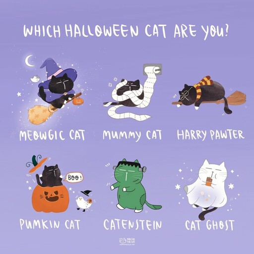 Which are you?