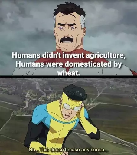 "Humans didn't invent agriculture, Humans were domesticated by wheat." "No... This doesn't make any sense..."  omni-man meme template