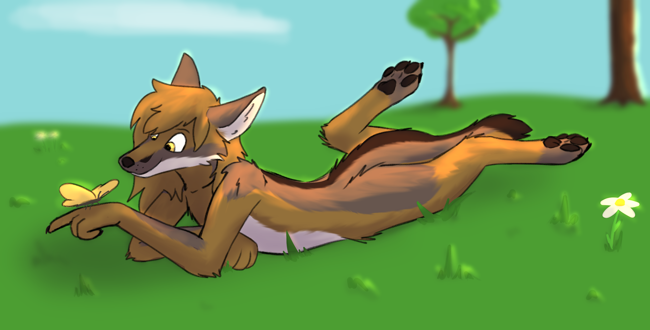 An anthro gray fox looking at a butterfly that landed on their hand