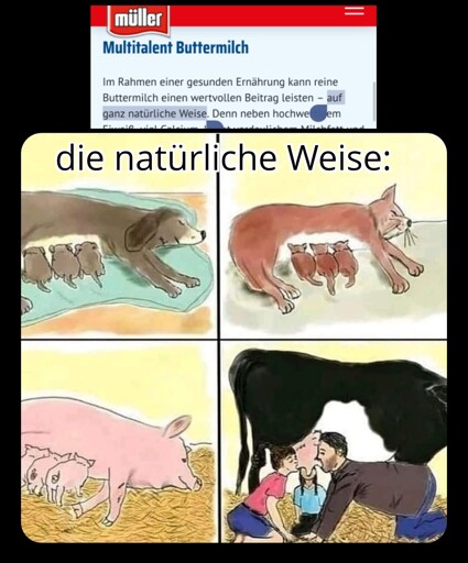 Ein Kuhausbeutungsbetrieb wirbt mit der "Natürlichkeit" des Kuhmilchprodukts. Darunter ein in vier Segmente aufgeteilter Comic. In den ersten drei Segmenten ist je ein Säugetier zu sehen, welches seine Kinder stillt (Hund, Katze, Schwein). Im letzten Ausschnitt steht eine Kuh und an ihrem Euter saugen drei Menschen, anstatt ein Kälbchen.
