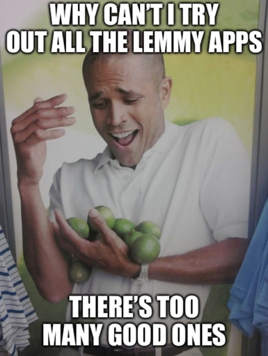 Why can’t I hold all these limes bald guy meme.

“WHY CAN'T I TRY
OUT ALL THE LEMMY APPS”

“ THERE'S TOO MANY GOOD ONES”