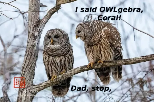Walking Dead Coral Meme