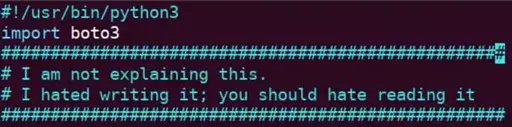 Head of a Python script, comments read: "I am not explaining this. I hated writing it; you should hate reading it."