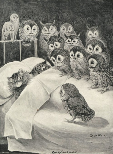 cat waking up to a bunch of owls