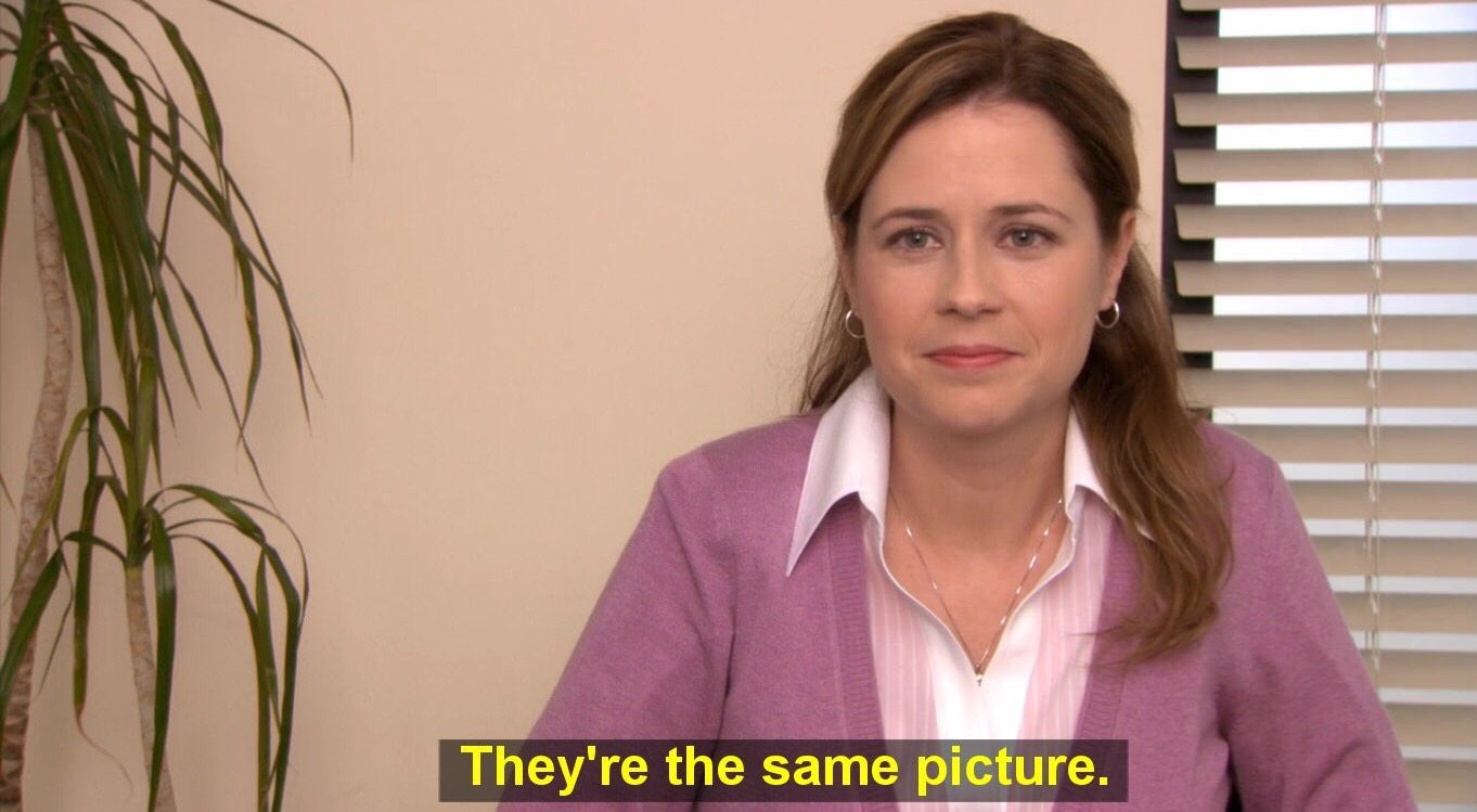 they're the same picture meme girl saying "they're the same picture"
