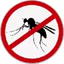 Fuck Mosquitoes