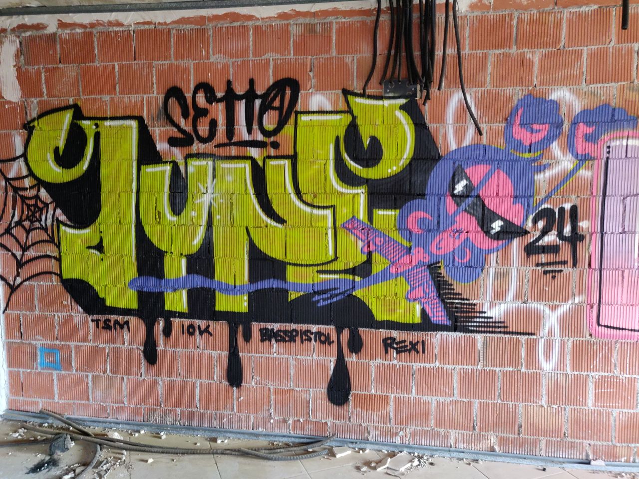 Graffiti piece. A green lettering with black countours spells "dyne". On the left a spider web, on top a tag spelling "setto". Bellow, the black drips over a threshold line with thick drops. The lettering is underlined by the swaying purple tail of a monkey wearing wings with jet engines, flying with their hands like superman. They wear black speedy gogles. On the right the number "24"