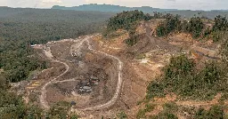 Schweizer Kohle auf Borneo: Zuger Minenkonzern bestreitet Mitvera...