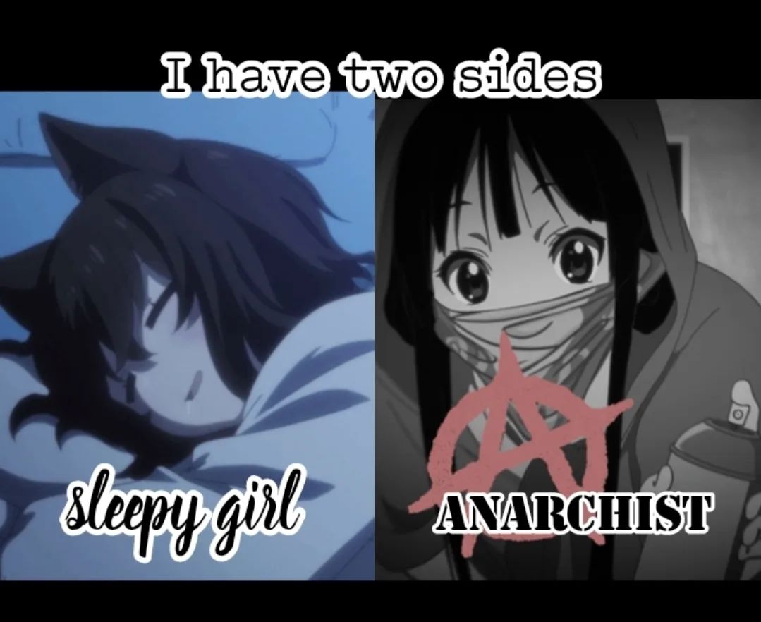 A meme with the caption: "I have only two sides. Sleepy girl. Anarchist". The left side depicts an anime girl with black fox ears sleeping. The right side has Akiyama Mio doing graffiti while wearing a hoodie and mask.