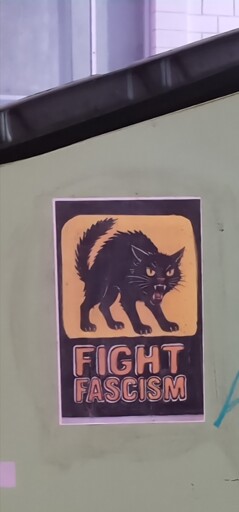 An image of a black cat hissing above the words "Fight Fascism" which has been pasted to the side of a dumpster.