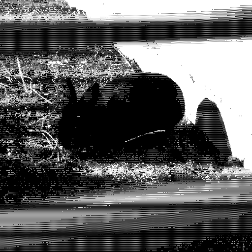 1bit dithered image of bun