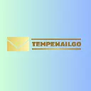 Temp Mail Go