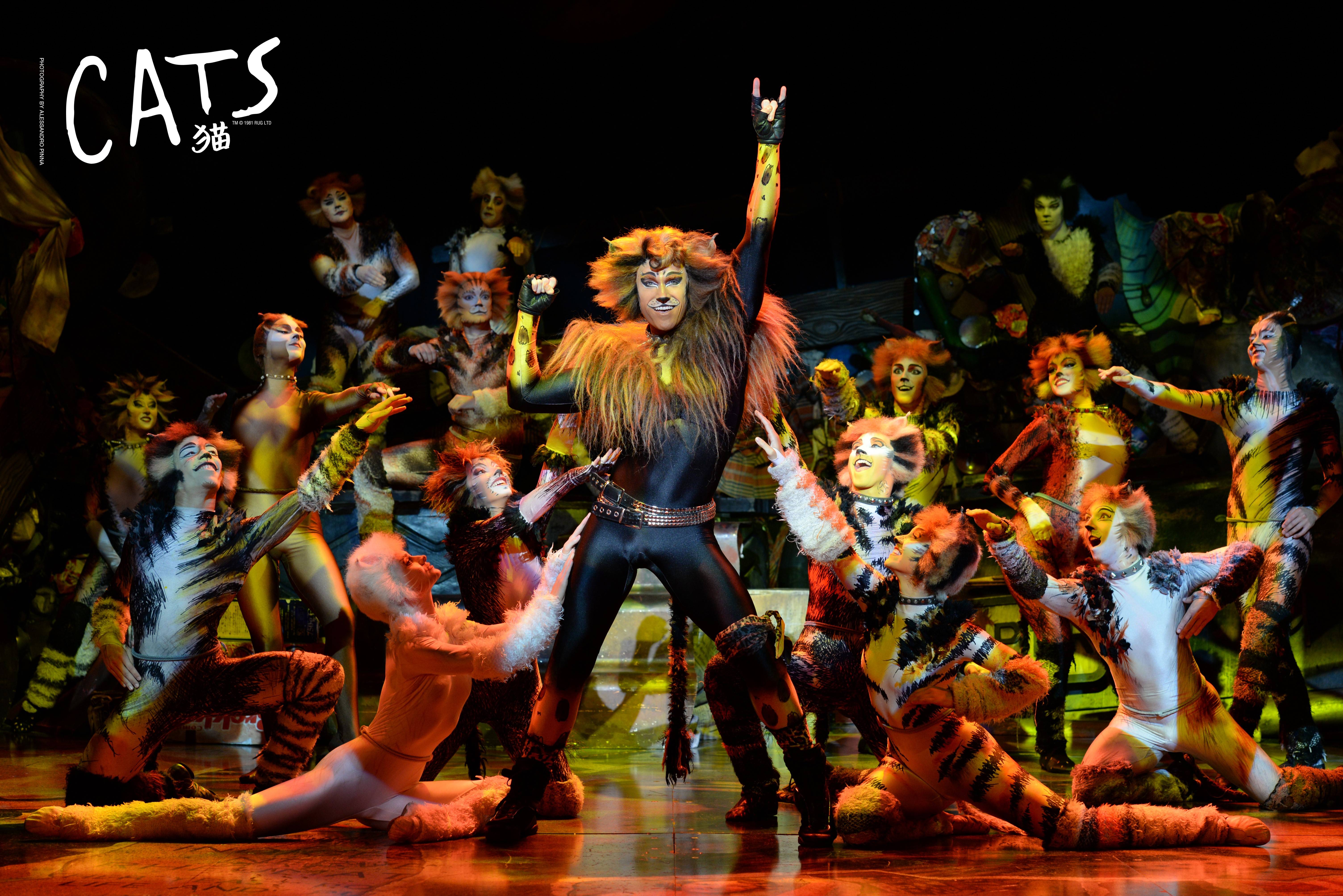 Cats the musical