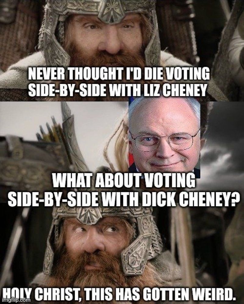 Man in armor: Never though I'd die voting side-by-side with Liz Cheney | Dick Cheney: What about voting side-by-side with Dick Cheney | Man in armor: Holy Christ, this has gotten weird