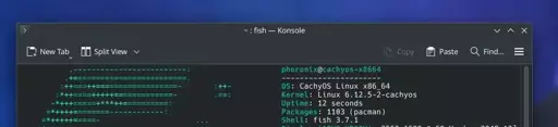 Fish shell