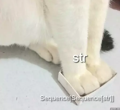 A cat, labeled str, with its paws in a tiny box, labeled Sequence[Sequence[str]]