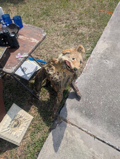 A thing that appears to be a poorly taxidermied coyote(?) head with teeth bared attached to a piece of wood that is shaped vaguely like an animal's body.