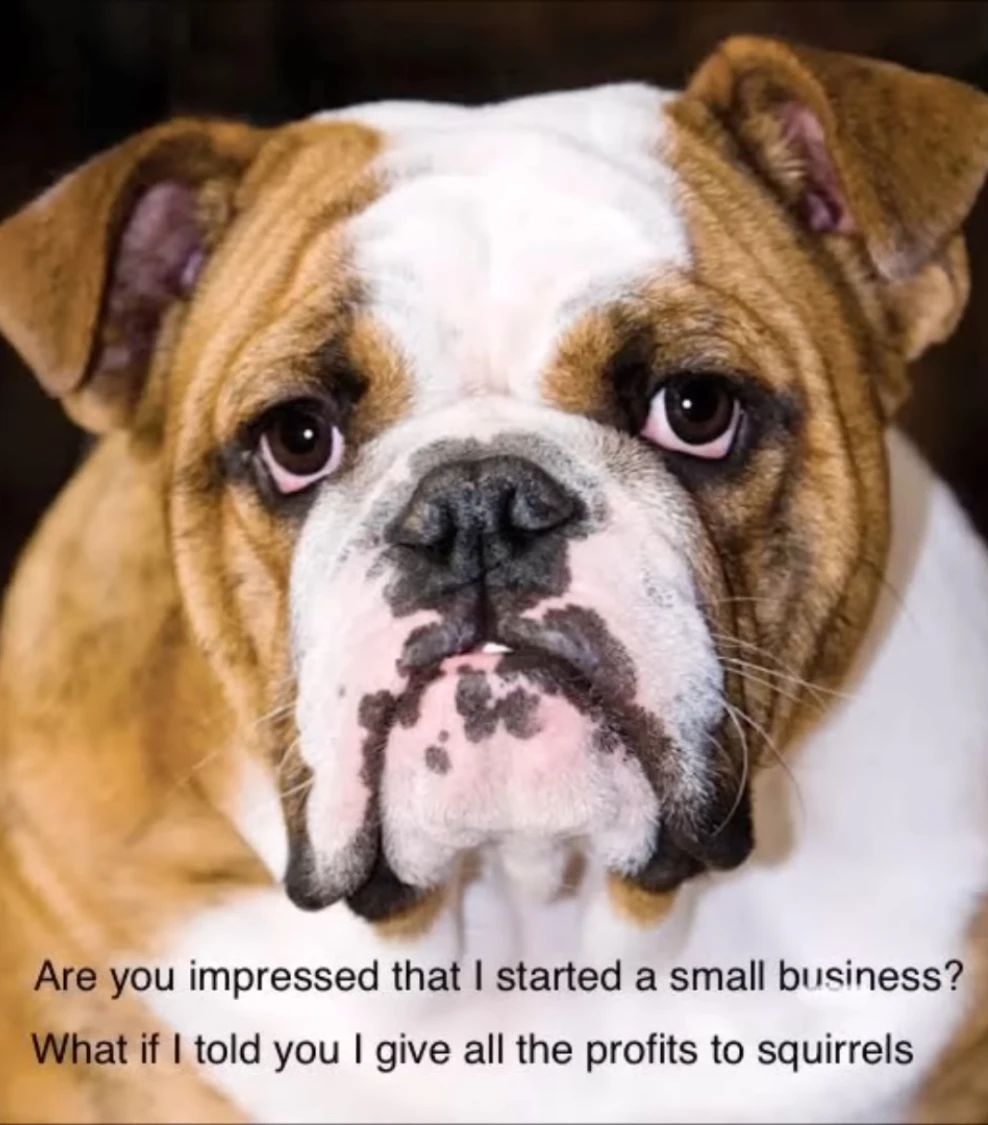 A picture of a bulldog dog with text at the bottom saying: “Are you impressed that I started a small business?” and the next line: “What if I told you I give all the profits to squirrels?”