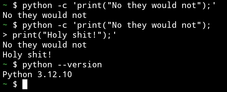demo of semicolons being allowed in Python
