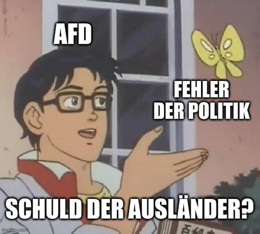 Meme von Mann mit Schmetterling. Mann = AfD, Schmetterling = Fehler der Politik, Frage = Schuld der Ausländer?