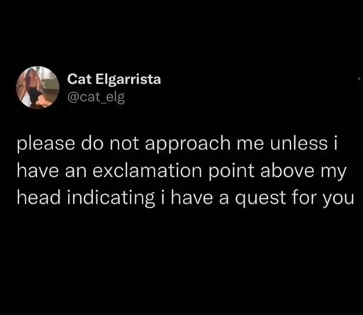 A twitter post by Cat Egarrista, in which she says "please do not approach me unless i have an exclamation point above my head indicating i have a quest for you"