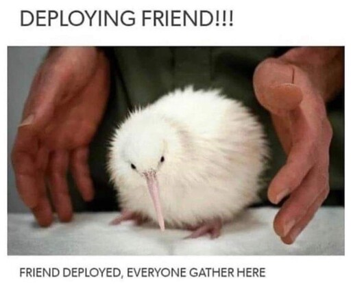 "DEPLOYING FRIEND!!!! / FRIEND DEPLOYED, EVERYONE GATHER HERE" image of a cute white kiwi