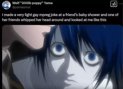 Twitter™ "I made a very light gay mpreg joke at a friend's baby shower and one of her friends whipped her head around and looked at me like this" by twitter™ user "@yamasmut"