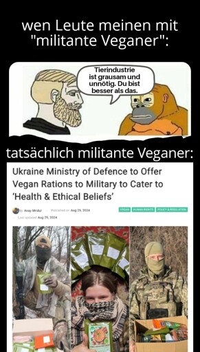 Wen Leute mit "militante Veganer" meinen: jemanden, der sagt: "Tierindustrie ist grausam und unnötig. Du bist besser als das." Tatsächlich militante Veganer: ein Screenshot eines News-Beitrags über veganes Essen im Militär.