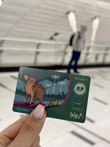 Tarjeta Bip con arte de pudú en la araucanía