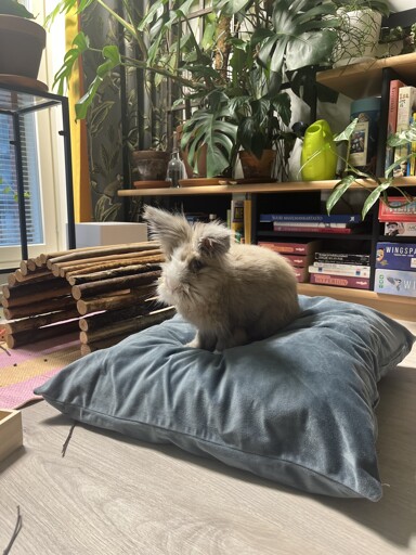 She turned 11 today