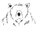 Poot