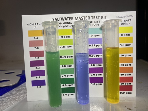 An aquarium test kit showing results for ammonia, nitrate, and nitrate.