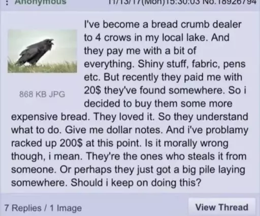 I've become a bread crumb dealer to 4 crows in my local lake. And they pay me with a bit of everything. Shiny stuff, fabric, pens etc. But recently they paid me with 20$ they've found somewhere. So i decided to buy them some more expensive bread. They loved it. So they understand what to do. Give me dollar notes. And i've problamy racked up 200$ at this point. Is it morally wrong though, i mean. They're the ones who steals it from someone. Or perhaps they just got a big pile laying somewhere. Should i keep on doing this?