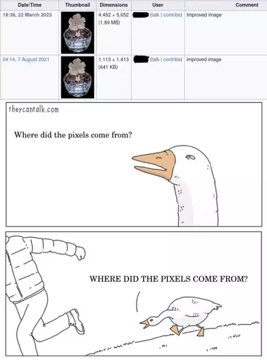At the top is a screenshot from Wikimedia Commons showing an image that was updated to a larger size with the comment saying "Improved image". Below it is the goose chasing meme with the goose twice asking "Where did the pixels come from?".