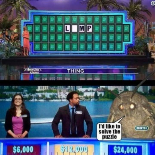The top image is from Wheel of Fortune puzzle board. The letters are L, BLANK, M, P.  The bottom image is the three contestants. A women who looks happy to be there, a man that is looking to their right shocked that the moth on their right is going to guess the answer. The third contestant is a moth saying "I'd like to solve the puzzle". 