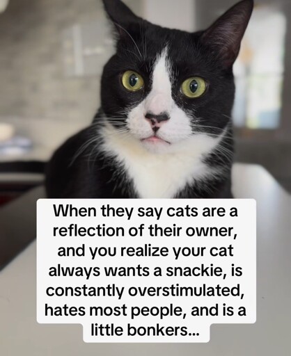 Anyone else in this meme?