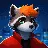 JRaccoon