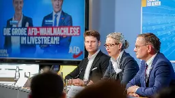 Europaparlament: Rechte ID-Fraktion nimmt AfD nicht wieder auf