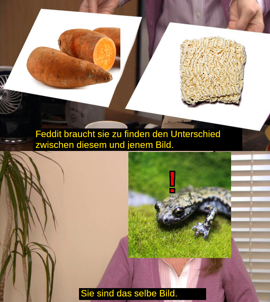 Bild von Süßkartoffeln und Instantnudeln nebeneinander. Unterschrift: Feddit braucht sie zu finden den Unterschied zwischen diesem und jenem Bild. - Sie sind das selbe Bild.