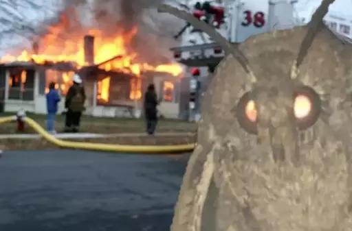Disaster Girl meme but with the Moth Lamp moth in place of the girl