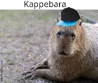 B(a)ra: Kappebara