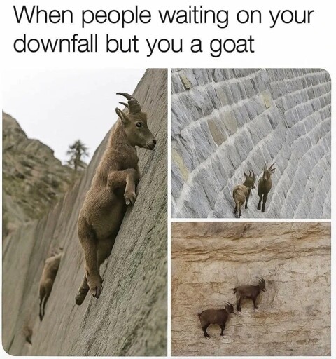 Day 1 of posting a random meme from my collection